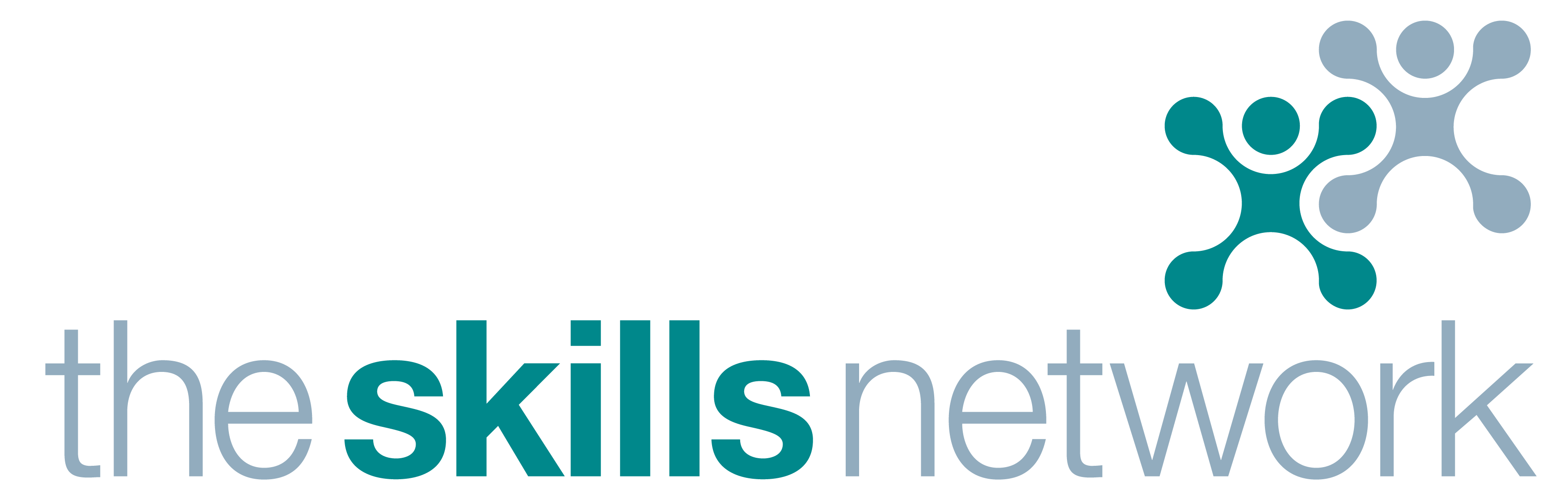 The Skills Network